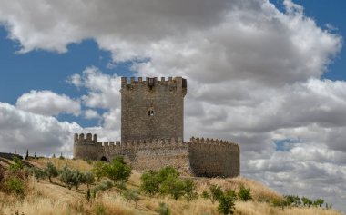 İspanya 'nın Castilla y Leon eyaletindeki Tiedra Kalesi