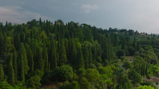 Aerial Cinematic Shot Park Tall Green Trees Revealing Historic Villas — Stock Video