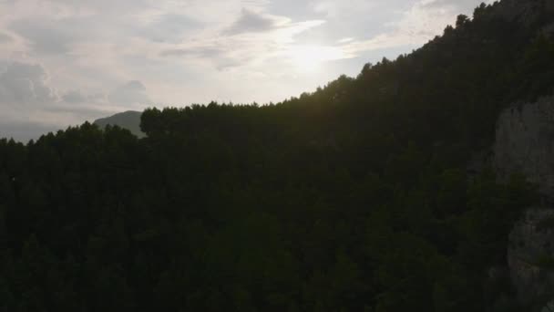 Передній Політ Над Деревами Лісі Природа Узбережжі Вигляд Небо Заходом — стокове відео