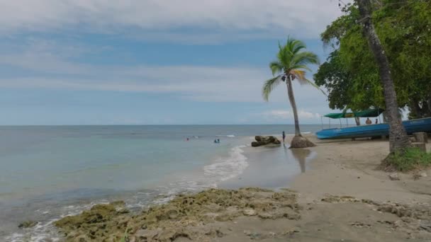 プエルトビエホ コスタリカ 2022年8月 プエルトビエホの近くのカリブ海のビーチ 見事な楽園の旅行先 — ストック動画