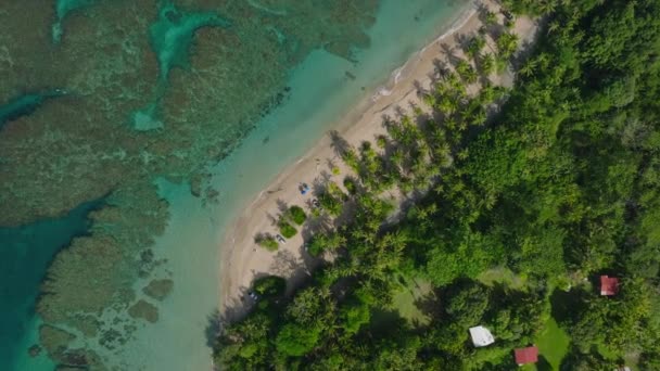 Heavenly Top Perspective Lush Tropical Landscape Exploring Beauty Nature Crystal — Vídeo de stock