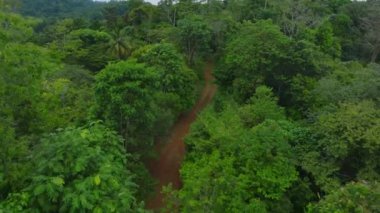 Aerial view of footpath meandering through the lush rainforest. Flying over a trail between trees with green foliage in the jungle.