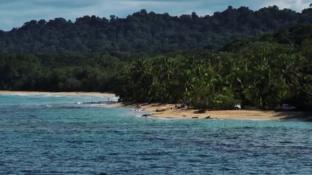 Letecký Pohled Odhalující Ohromující Kontrast Tropických Džunglí Křišťálově Čistých Karibských — Stock video