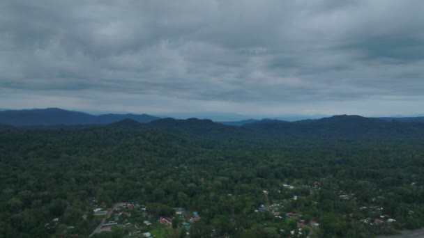 코스타리카의해 안선에서 공중에서 우림을 너머에서 내려다보면 평온하고 태평양 풍경이 펼쳐진다 — 비디오