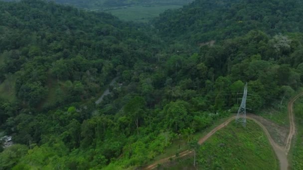 Overhead View Meandering Trail Cuts Dense Rainforest Panoramic Perspective Pristine — Stock Video