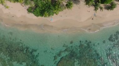 Top down descending shot of people enjoying vacation on sand beach in tropical destination. Tilt up reveal panoramic view of coastal landscape. Puerto Viejo, Costa Rica.