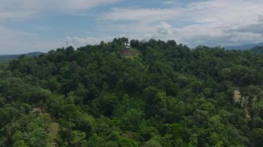 Aerial ascending footage of wild nature with dense tropical vegetation. Revealing vast woodland. Puerto Viejo, Costa Rica.