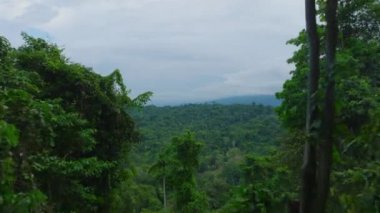 Forwards fly above vast tropical forest. Landscape shot of wild woodland nature. Puerto Viejo, Costa Rica.