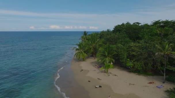 Elevado Slide Pan Filmagem Pessoas Relaxando Praia Areia Com Palmeiras — Vídeo de Stock
