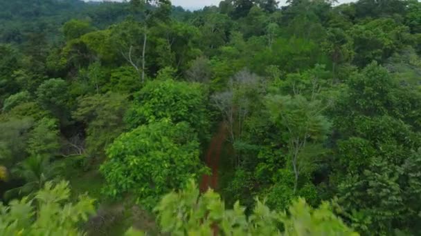 前方の森のほこりの道路の木や緑豊かな緑の植生に囲まれて上を飛ぶ 野生の熱帯性自然 コスタリカのプエルト ビエホ — ストック動画