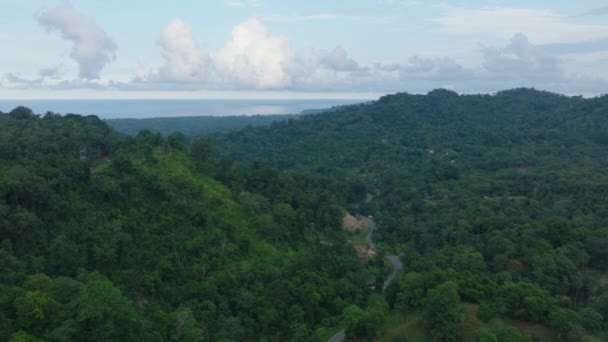 열대림에 파노라마 과푸른 코스타리카 푸에르토 — 비디오