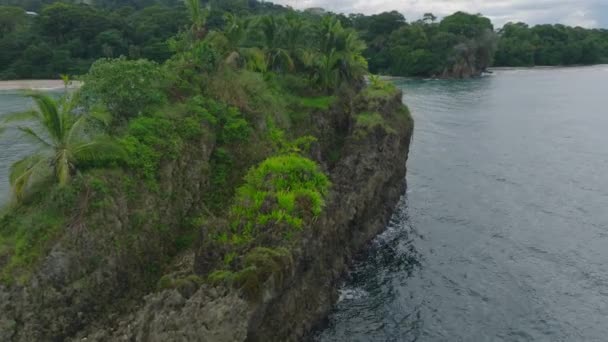 Orbit Shot Rocks Overgrown Lush Green Vegetation Palm Trees Isla — Stock video