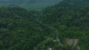 High angle view of road leading through valley in forest. Lush green foliage of trees. Puerto Viejo, Costa Rica.