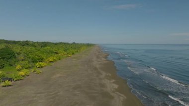 Forwards fly along empty beach on Caribbean coast lined by tropical green vegetation. Water washing fine sand Costa Rica.