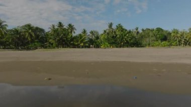 Travel tourists couple walking on pristine beach with lush and wild green tropical forest in background. Couple walking down exotic beach with palm trees and turquoise waters