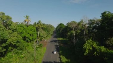Tracking of vehicles overpassing slowly moving car of road leading through tropical forest. Costa Rica.