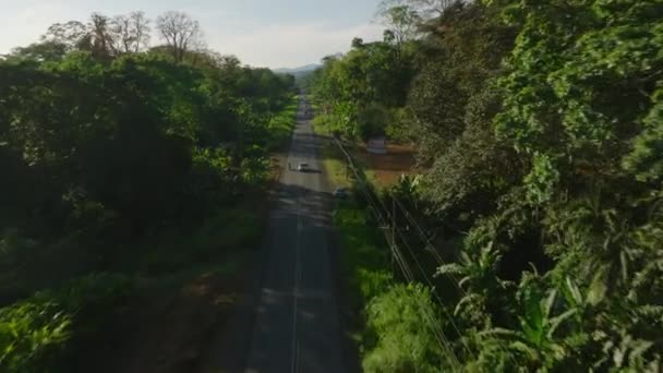 国立公園の森の中の道路の概要 緑の熱帯林を通る黒いアスファルトの道路の空中ビュー — ストック動画