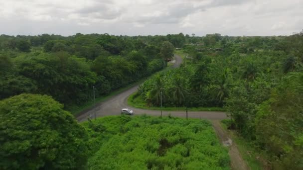 Повітряний Вид Дороги Будівлі Селі Тропічному Напрямку Дерева Зелена Рослинність — стокове відео
