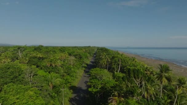 Aerial View Beautiful Coastline Sneaking Road Tropical Forest Overhead View — Stock video