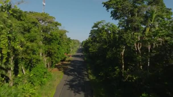 Panoramic Aerial View Road Sneaking Tropical Exotic Rainforest Pristine White — Stock video