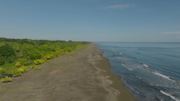 Forwards Fly Empty Beach Caribbean Coast Lined Tropical Green Vegetation — Stockvideo