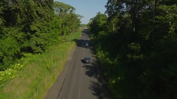 緑と緑豊かな熱帯雨林を蛇行道路の鳥の目のビュー エキゾチックで熱帯の森の中を高速道路を走行する車の概要 — ストック動画