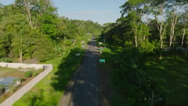 Вид Вулицю Тропічному Лісі Вид Повітря Вулицю Проходить Через Тропічні — стокове відео