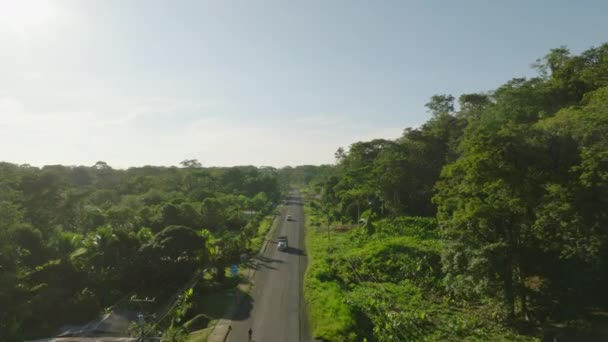 Erhöhter Blick Auf Tropische Landschaft Mit Verkehrsinfrastruktur Asphaltierte Straße Und — Stockvideo