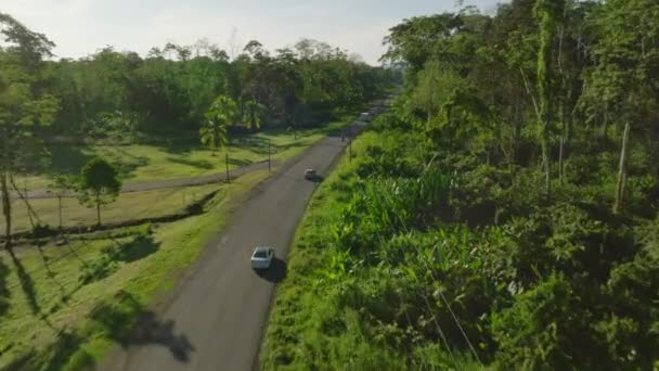 アスファルトの通りを運転する熱帯雨林の中心部を探索する ジャングルを蛇行する通りを走行する車の空中ビュー — ストック動画