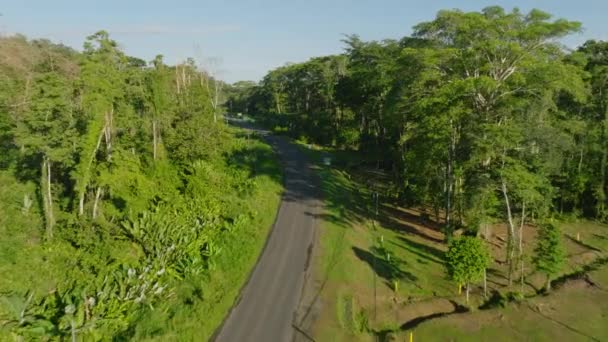 前方の森の中で道路の上を飛ぶ下降 高密度の熱帯植物に囲まれた家を明らかにする コスタリカ — ストック動画