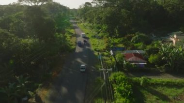 The journey through the forest. Aerial view perspective of a road navigating through the green landscape of the jungle rainforest