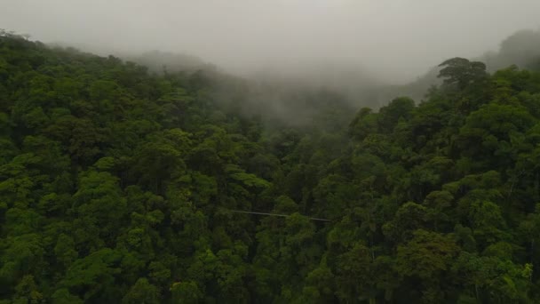 안개낀 날에는 우림의 다닙니다 협곡을 가로지르는 현수교에 사람들 입니다 코스타리카 — 비디오