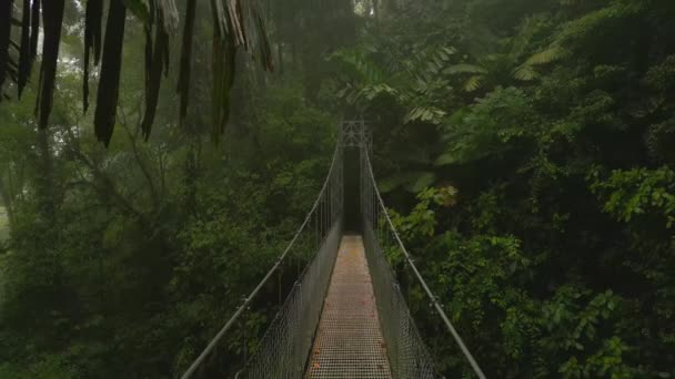 熱帯林の峡谷の上の観光トレイルの歩道橋を移動することに戻る コスタリカのラ フォルトゥナ — ストック動画