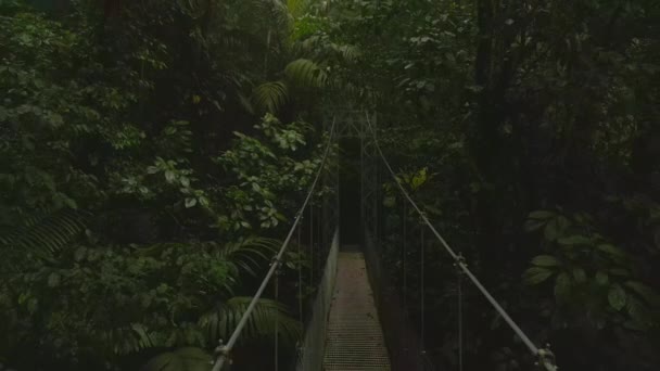 Dense Vegetation Tropical Rain Forest Backwards Reveal Narrow Suspension Footbridge — Vídeos de Stock