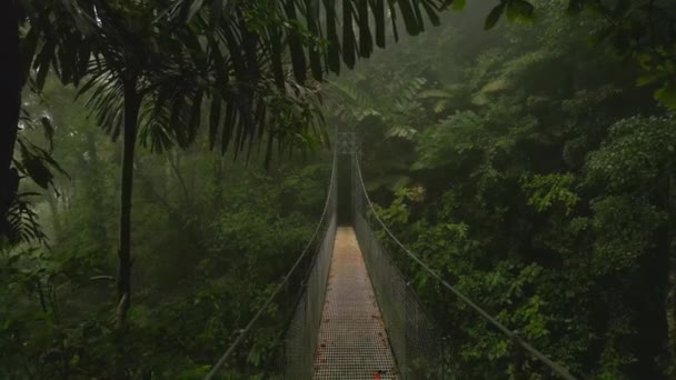 熱帯雨林の吊り橋を歩くハメ撮り映像 素晴らしい野生の自然と雰囲気 コスタリカのラ フォルトゥナ — ストック動画