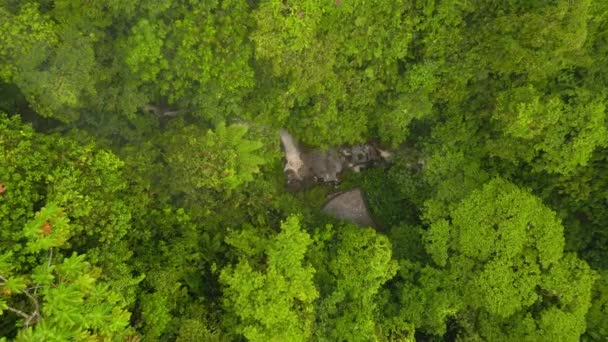 从上往下拍摄热带雨林茂密的绿树 山溪流淌在岩石上 形成瀑布 拉福尔图纳 哥斯达黎加 — 图库视频影像