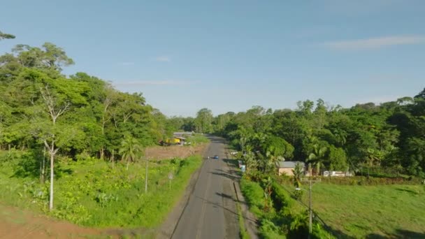 Літаючи Згори Автострада Пробирається Крізь Зелень Дикого Тропічного Лісу Верхній — стокове відео