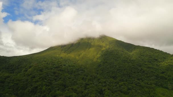 산비탈 나무들이 풍경을 공중으로 내려오는 장면이었습니다 언덕들 구름으로 뒤덮여 있었다 — 비디오