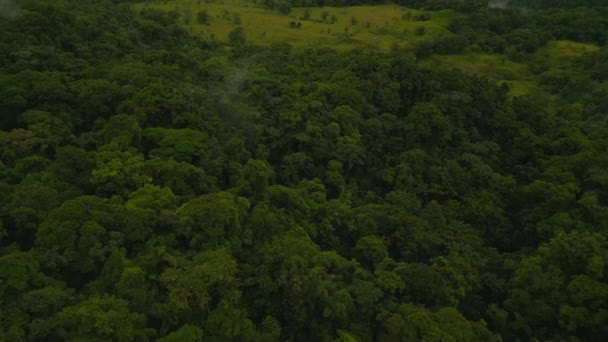 의나무들이 각도로 보인다 아레날 풍경이 나타난다 코스타리카 포투나 — 비디오