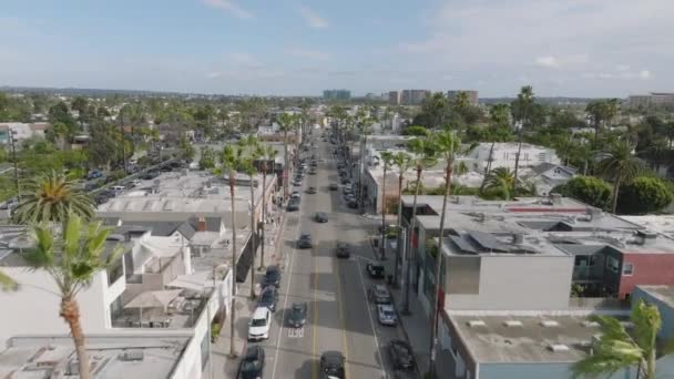 Rekaman Panorama Udara Dari Boulevard Berjajar Dengan Pohon Palem Tinggi — Stok Video