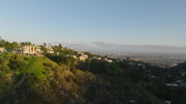 Parlak akşam güneşinde Hollywood Hills 'teki lüks konutların etrafında forvetler uçuyor. Los Angeles, Kaliforniya, ABD.
