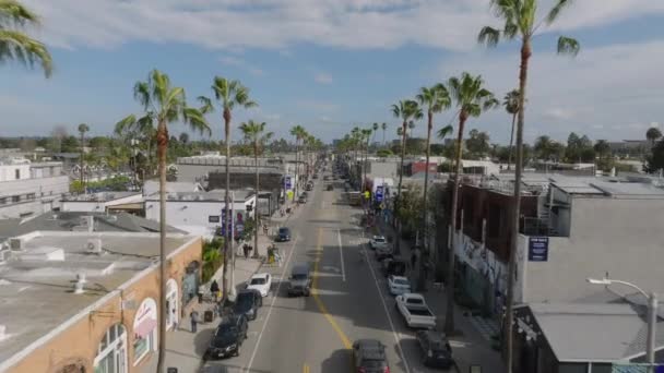 Vorne Fliegen Palmen Über Den Boulevard Autos Und Radfahrer Fahren — Stockvideo