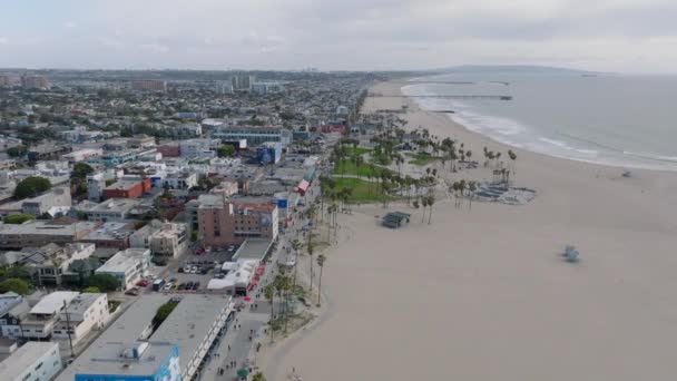 Seacoast Metropolis Aerial View Venice Beach Skatepark Park Palm Trees — Stock Video