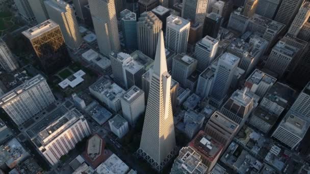 Ünlü Transamerica Piramidinin Yüksek Açılı Görüntüsü Altın Saatinde Şehir Merkezindeki — Stok video