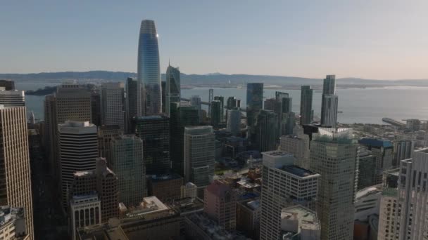金融街の近代的な高層ビルの素晴らしい映像 光沢のあるガラスのファサードを持つSalesforceタワー超高層ビル 米国カリフォルニア州サンフランシスコ — ストック動画