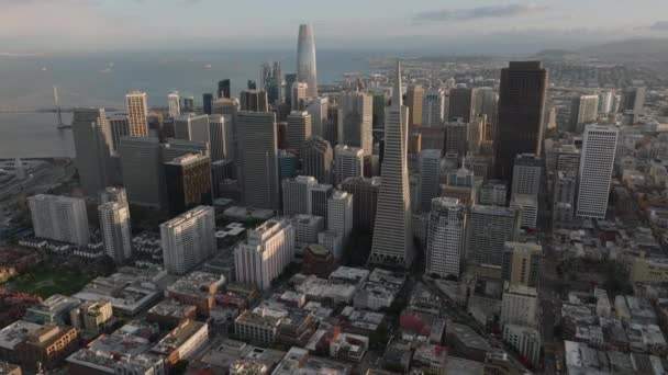 ファイナンシャル地区の近代的な高層オフィスビルの空中パノラマ映像 黄金の時間で海側のメトロポリス 米国カリフォルニア州サンフランシスコ — ストック動画