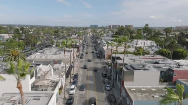 Palmiye Ağaçlarıyla Kaplı Bulvarın Hava Panoramik Görüntüleri Büyük Şehrin Sokaklarında — Stok video
