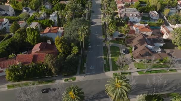 ビバリーヒルズ地区の通りや家の高い角度のビュー プレミアムアドレスの居住者 米国カリフォルニア州ロサンゼルス — ストック動画