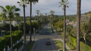 Şehir merkezindeki caddenin yukarısında ilerliyorlar. Uzun palmiye ağaçlarıyla kaplı bir yol. Los Angeles, Kaliforniya, ABD