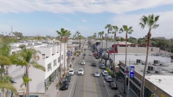 Tropikal Bölgede Geniş Bir Bulvar Şehirdeki Uzun Palmiye Ağaçlarıyla Kaplı — Stok video